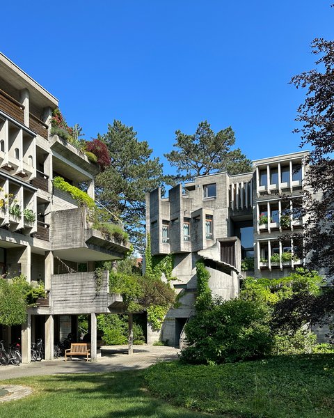 Moderner Wohnkomplex mit drei mehrstöckigen Gebäuden aus Beton und Glas,  begrünt mit Efeu und Rankpflanzen. Im Innenhof Fahrräder, Bänke und  grüne Wiese unter blauem Himmel.