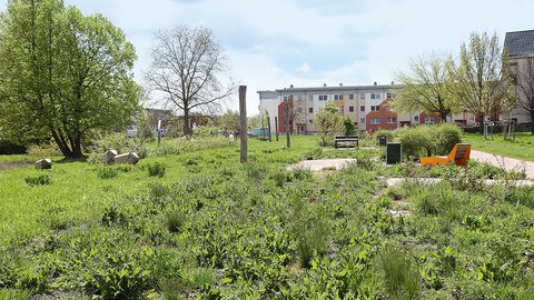 Weitläufige, naturnahe Grünanlage mit Wiesenflächen, Bäumen, Sitzgelegenheiten und Wegen.
