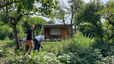 Drei Personen arbeiten zwischen Obstbäumen und dichtem Bewuchs in einem Garten vor einem kleinen Holzgebäude.
