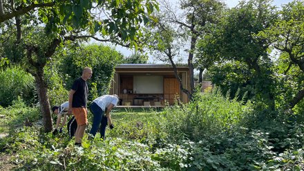 Drei Personen arbeiten zwischen Obstbäumen und dichtem Bewuchs in einem Garten vor einem kleinen Holzgebäude.