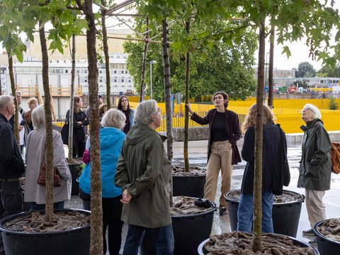 "Eine Gruppe von Menschen steht auf einem gepflasterten Platz vor Bäumen im Kübel, während eine Frau in der Mitte mit ausgestreckter Hand den Stamm eines Baumes berührt."