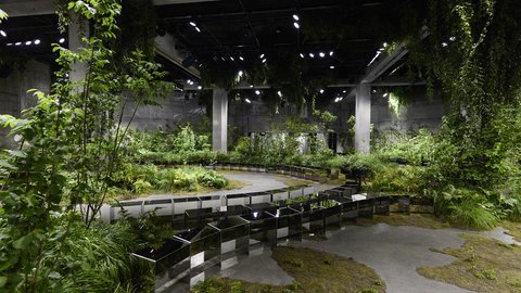 "Große Ausstellungshalle mit roher Betonarchitektur, die in eine dichte grüne Landschaft verwandelt wurde. Bäume, Sträucher und Farne wachsen aus dem Boden und bilden eine parkähnliche Umgebung. Von der Decke hängen Pflanzen herab. Ein geschwungener Betonweg führt durch die Installation. Schwarze, spiegelnde Sitz- oder Podestelemente stehen entlang des Weges. Spotlights an der Decke beleuchten die Vegetation gezielt."