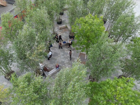 Eine Luftbildaufnahme von oben zeigt einen gepflasterten Stadtplatz, auf dem viele Bäume in großen Kübeln und Holzbänke angeordnet sind; einige Personen stehen oder sitzen verteilt auf dem Platz.