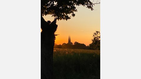 Landschaftsfoto eines Feldes bei Sonnenuntergang. In weiter Ferne sind zwei Kirchturmspitzen zu sehen, eingerahmt von Bäumen. Ein großer, silhouettierter Baum befindet sich im Vordergrund auf der linken Seite. Der Himmel ist orange.