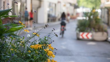 Eine Straße mit Begrünung am Straßenrand und einer Fahrrad fahrenden Person im Hintergrund.