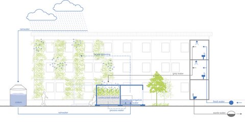 Architektonischer Schnittzeichnung eines Gebäudes mit integriertem Wassermanagement-System. Gezeigt werden: Regenwassersammlung von Dachfläche (Pfeile von oben), Fassadenbegrünung an Fensterflächen, konstruierte Feuchtzone mit Pflanzen, Grauwater-Nutzung für Bewässerung, Frisch- und Abwasserführung. Zwei stilisierte Personen und ein Hund zeigen Maßstab. Beschriftungen markieren Speicher-, Versickerungs- und Nutzungsbereiche.