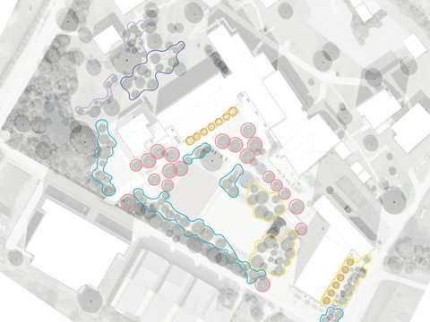 Übersichtskarte des Baumkonzepts für den Schulwaldcampus Mössingen im Lageplan, dargestellt ohne Textlegende. Der Plan zeigt die räumliche Verteilung der farbigen Baumzonen über das Schulgelände: rote Einzelbäume im zentralen Pausenhof, blau gefasste schlangenlinienförmige Schul-Habitate entlang der Pfade, gelbe Zonen nahe der Gebäude und Sportplätze sowie blaue und violette Baumpackungen in den nördlichen Freiflächen.