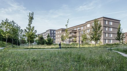 Wohngebäude mit Holzfassade am Rand einer großen Grünfläche mit Wegen und Bäumen.