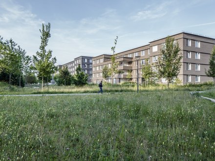 Wohngebäude mit Holzfassade am Rand einer großen Grünfläche mit Wegen und Bäumen.