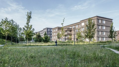 Wohngebäude mit Holzfassade am Rand einer großen Grünfläche mit Wegen und Bäumen.
