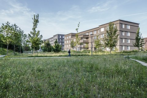Wohngebäude mit Holzfassade am Rand einer großen Grünfläche mit Wegen und Bäumen.
