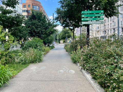 "Gepflasterter Fußweg in einem urbanen Park oder Grünzug, gesäumt von dichtem Grün auf beiden Seiten: Sträucher, Hecken und Bäume. Ein grünes Richtungsschild mit weißem Text steht rechts und zeigt mehrere Ziele an: Tête d'Or, Cusset, Cordeliers und les halles de Lyon. Im Hintergrund historische Wohngebäude und ein modernes rotes Backsteingebäude unter blauem Himmel. Der Weg ist gepflegt und lädt zum Spazieren ein."
