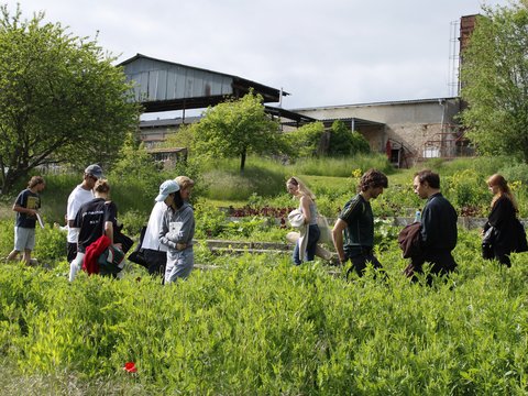 Eine Gruppe verschiedener Personen geht im Sommer durch einen grünen Gartenpfad, im Hintergrund ein Gebäude mit Metallverkleidung und Bäumen."