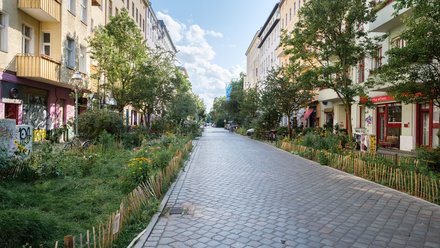Verkehrsberuhigte Wohnstraße mit breiter Pflasterfläche, Bäumen und bepflanzten Grünstreifen zwischen den Häusern.