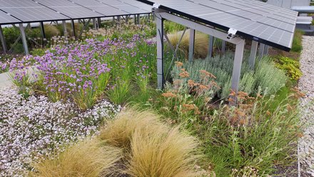 Neubau Forschungszentrum und Mathematikgebäude der Technischen Universität Berlin. Entwurf: Code Unique Architekten. Nachhaltigkeitszertifizierung Merkla Architektur.