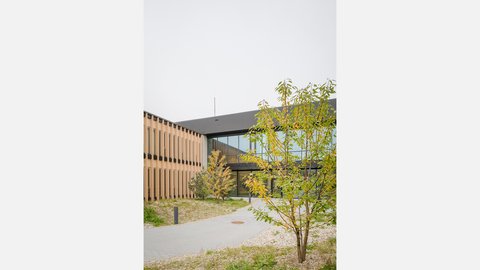Campusgebäude mit Holzfassade, Vorplatz und junger Bepflanzung.