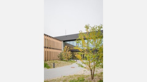 Campusgebäude mit Holzfassade, Vorplatz und junger Bepflanzung.