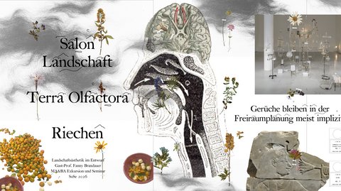 Eine Poster-Collage zum Thema Riechen mit dem Titel ‚Salon Landschaft: Terra Olfactoria / Riechen‘. Sie enthält grafische Darstellungen des menschlichen Riechorgans, Duftölfläschchen, historische Reliefs, getrocknete Pflanzen und eine Laborinstallation.