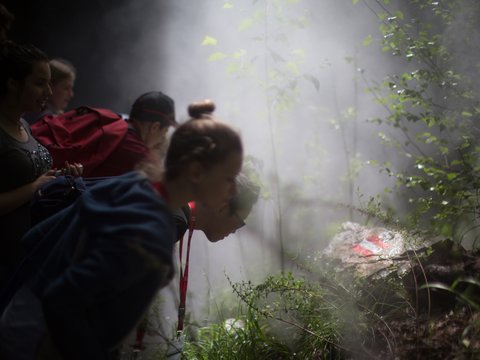 Mehrere Personen betrachten fasziniert ein beleuchtetes, mit dichtem Nebel und Pflanzen gefülltes Gehege hinter Glas.