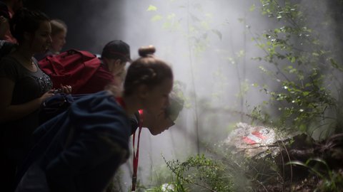 Mehrere Personen betrachten fasziniert ein beleuchtetes, mit dichtem Nebel und Pflanzen gefülltes Gehege hinter Glas.