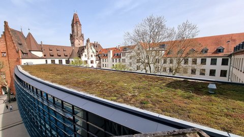 Blick auf ein begrüntes Flachdach der Rathausspange mit historischen Gebäuden und einem Kirchturm im Hintergrund.