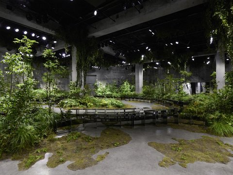 "Ausstellungsraum mit industrieller Architektur, der als Waldlandschaft gestaltet ist. Eine großzügige Halle mit sichtbaren Betondecken und Stahlträgern ist mit üppiger grüner Vegetation gefüllt. Verschiedene Bäume und Sträucher unterschiedlicher Höhen wachsen aus dem Betonboden. Ein gewundener, mit Moos bewachsener Pfad aus Beton führt durch die Installation. Mehrere schwarze Bank-Installationen folgen dem Weg und laden zum Verweilen ein. Die Decke ist mit LED-Spotlights ausgeleuchtet, die das grüne Laub von oben beleuchten. Die Installation verschmilzt die urbane Industriearchitektur mit natürlicher, waldähnlicher Vegetation."