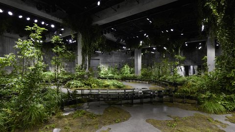 "Ausstellungsraum mit industrieller Architektur, der als Waldlandschaft gestaltet ist. Eine großzügige Halle mit sichtbaren Betondecken und Stahlträgern ist mit üppiger grüner Vegetation gefüllt. Verschiedene Bäume und Sträucher unterschiedlicher Höhen wachsen aus dem Betonboden. Ein gewundener, mit Moos bewachsener Pfad aus Beton führt durch die Installation. Mehrere schwarze Bank-Installationen folgen dem Weg und laden zum Verweilen ein. Die Decke ist mit LED-Spotlights ausgeleuchtet, die das grüne Laub von oben beleuchten. Die Installation verschmilzt die urbane Industriearchitektur mit natürlicher, waldähnlicher Vegetation."