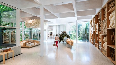„Ein heller, moderner Ausstellungsraum mit großen Fenstern zum Garten, einer deckenhohen Regalwand voller Exponate auf der rechten Seite und einer Besucherin in der Raummitte.“