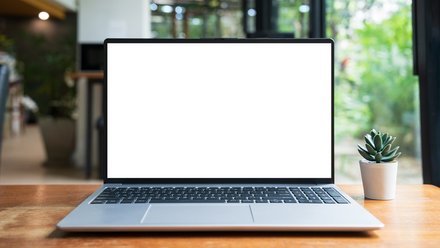 Offener Laptop mit leerem weißem Bildschirm auf einem Holztisch; rechts steht eine kleine Sukkulente. Im Hintergrund ein heller Raum mit großen Fenstern und viel Grün.