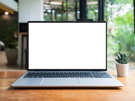 Offener Laptop mit leerem weißem Bildschirm auf einem Holztisch; rechts steht eine kleine Sukkulente. Im Hintergrund ein heller Raum mit großen Fenstern und viel Grün.