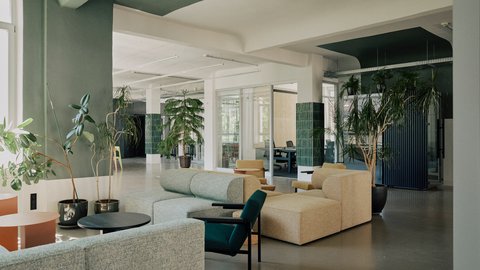 Heller Büro‑Loungebereich mit modularen Sofas in Grün und Beige, niedrigen Tischen und vielen großen Zimmerpflanzen; verglaste Besprechungsräume im Hintergrund.