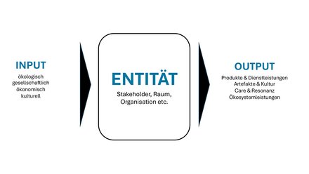 Diagramm: Links „Input“ (ökologisch, gesellschaftlich, ökonomisch, kulturell) → Mitte „Entität“ (Stakeholder, Raum, Organisation etc.) → rechts „Output“ (Produkte & Dienstleistungen; Artefakte & Kultur; Care & Resonanz; Ökosystemleistungen).