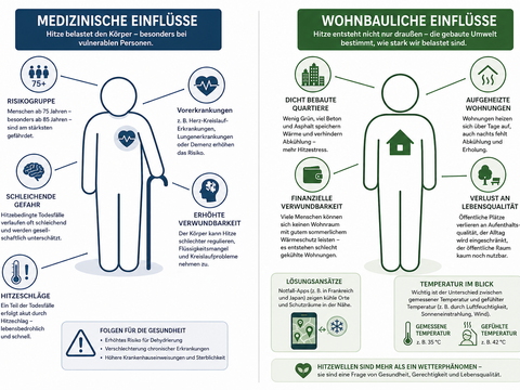 "Infografik in zwei Spalten zu medizinischen und wohnbaulichen Hitzefolgen. Linke Spalte (blau): Zeigt eine menschliche Figur mit Symbolen für Risikogruppen (75+), Schleichigende Gefahr, Hitzeschläge und Vorerkrankungen wie Herz-, Lungen- und Demenzerkrankungen. Rechte Spalte (grün): Zeigt wohnbauliche Faktoren wie dicht bebaute Quartiere, aufgeheizte Wohnungen, finanzielle Verwundbarkeit, Verlust an Lebensqualität und Temperaturunterschiede. Unten listet ein Kasten 'Folgen für die Gesundheit' auf."