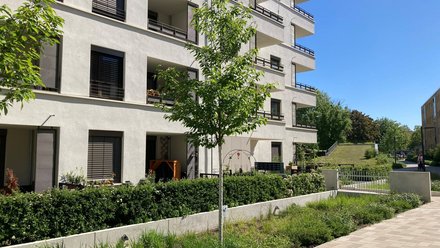 Wohngebäude mit Balkonen an begrünter Freifläche, Bäume und bepflanzter Randstreifen entlang des Gehwegs.