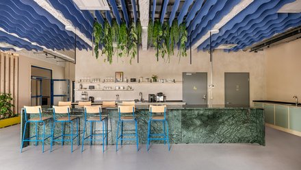  Moderne Büroküche mit grünem Tresen, blauen Barhockern, offenen Regalen und hängenden Pflanzen unter blauen Akustikpaneelen.