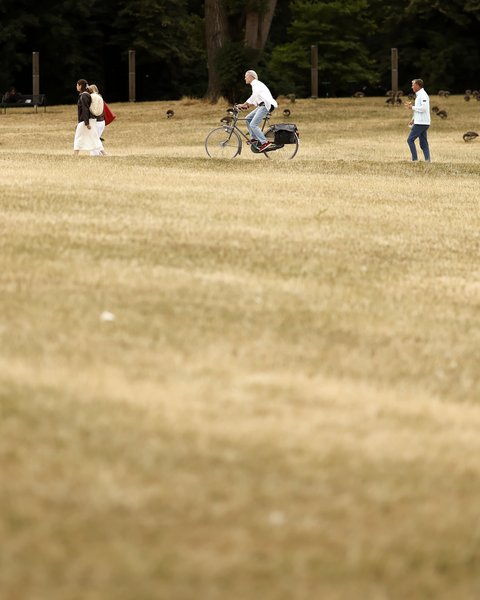 "Fotografisch: Großer Park mit ausgedörrtem, hellbraunem Rasen und kahlen Stellen. Drei Menschen sind verteilt auf der Wiese zu sehen: eine Person lädt einen weißen Lastenanhänger, eine Person fährt Fahrrad, eine Person läuft. Kiefern bilden dichten grünen Waldrand im Hintergrund. Bänke und Behälter stehen am Rand."