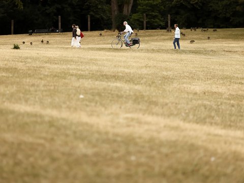 "Fotografisch: Großer Park mit ausgedörrtem, hellbraunem Rasen und kahlen Stellen. Drei Menschen sind verteilt auf der Wiese zu sehen: eine Person lädt einen weißen Lastenanhänger, eine Person fährt Fahrrad, eine Person läuft. Kiefern bilden dichten grünen Waldrand im Hintergrund. Bänke und Behälter stehen am Rand."
