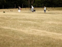 "Fotografisch: Großer Park mit ausgedörrtem, hellbraunem Rasen und kahlen Stellen. Drei Menschen sind verteilt auf der Wiese zu sehen: eine Person lädt einen weißen Lastenanhänger, eine Person fährt Fahrrad, eine Person läuft. Kiefern bilden dichten grünen Waldrand im Hintergrund. Bänke und Behälter stehen am Rand."