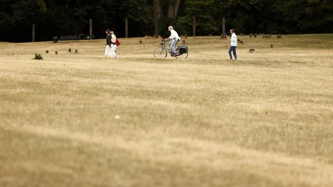 "Fotografisch: Großer Park mit ausgedörrtem, hellbraunem Rasen und kahlen Stellen. Drei Menschen sind verteilt auf der Wiese zu sehen: eine Person lädt einen weißen Lastenanhänger, eine Person fährt Fahrrad, eine Person läuft. Kiefern bilden dichten grünen Waldrand im Hintergrund. Bänke und Behälter stehen am Rand."