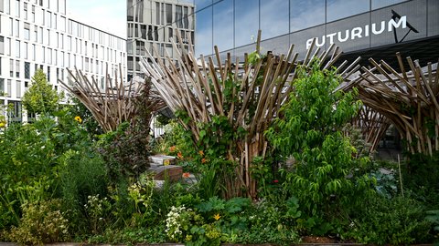Begrünte Holzstruktur mit Hochbeeten vor dem Futurium in Berlin.