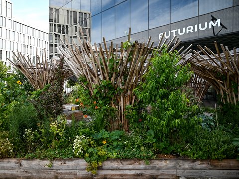 Begrünte Holzstruktur mit Hochbeeten vor dem Futurium in Berlin.