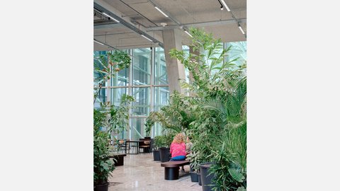 Hoher heller Raum mit großen Pflanzen und verschiedenen Sitzmöglichkeiten. Auf einer Bank sitzen zwei Personen. Im Hintergrund befindet sich eine große Fensterfront.