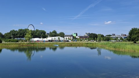 Blick über ein ruhiges Gewässer mit grünem Schilf am Ufer. Auf der gegenüberliegenden Seite sind Veranstaltungszelte, Gebäude und ein Riesenrad sichtbar. Im Hintergrund erstreckt sich die Stadtsilhouette. Der Himmel ist klar und blau. Die Wasseroberfläche spiegelt die Landschaft wider.