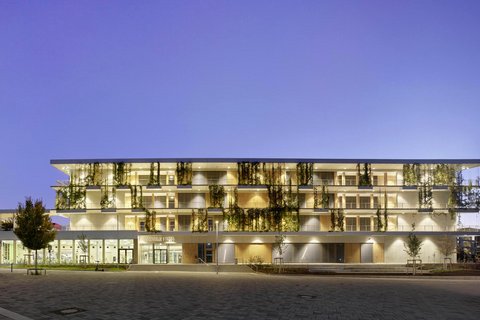 Modernes mehrstöckiges Schulgebäude mit großen Fenstern und begrünten Balkonen bei Dämmerung