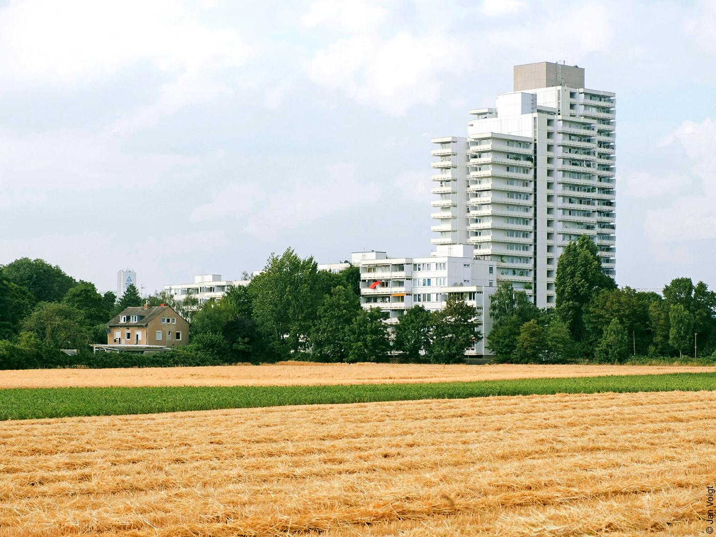 Hochhäuser, davor Felder und Bäume