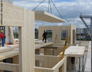 Vorschau_HolzbauSysteme