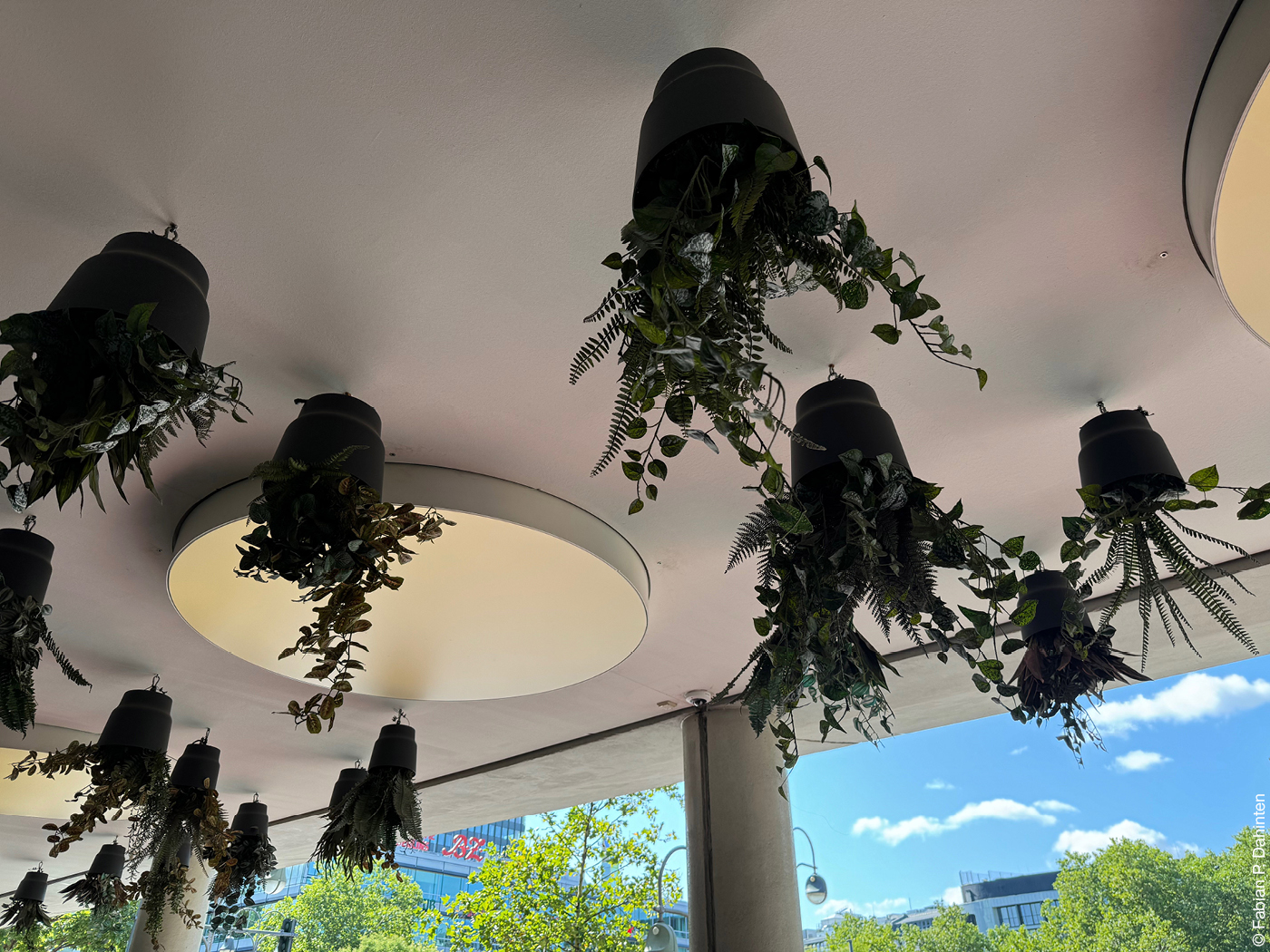 Topfpflanzen-Imitate aus Kunststoff hängen von der Decke