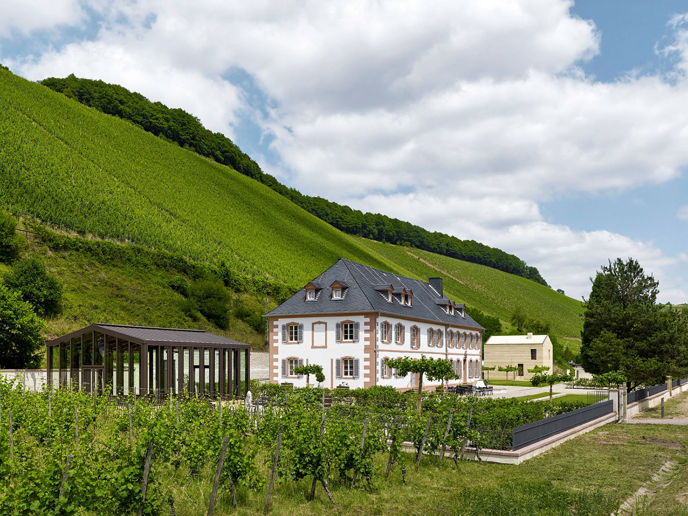 Steile Weinberge mit altem Weingut und Neubauten