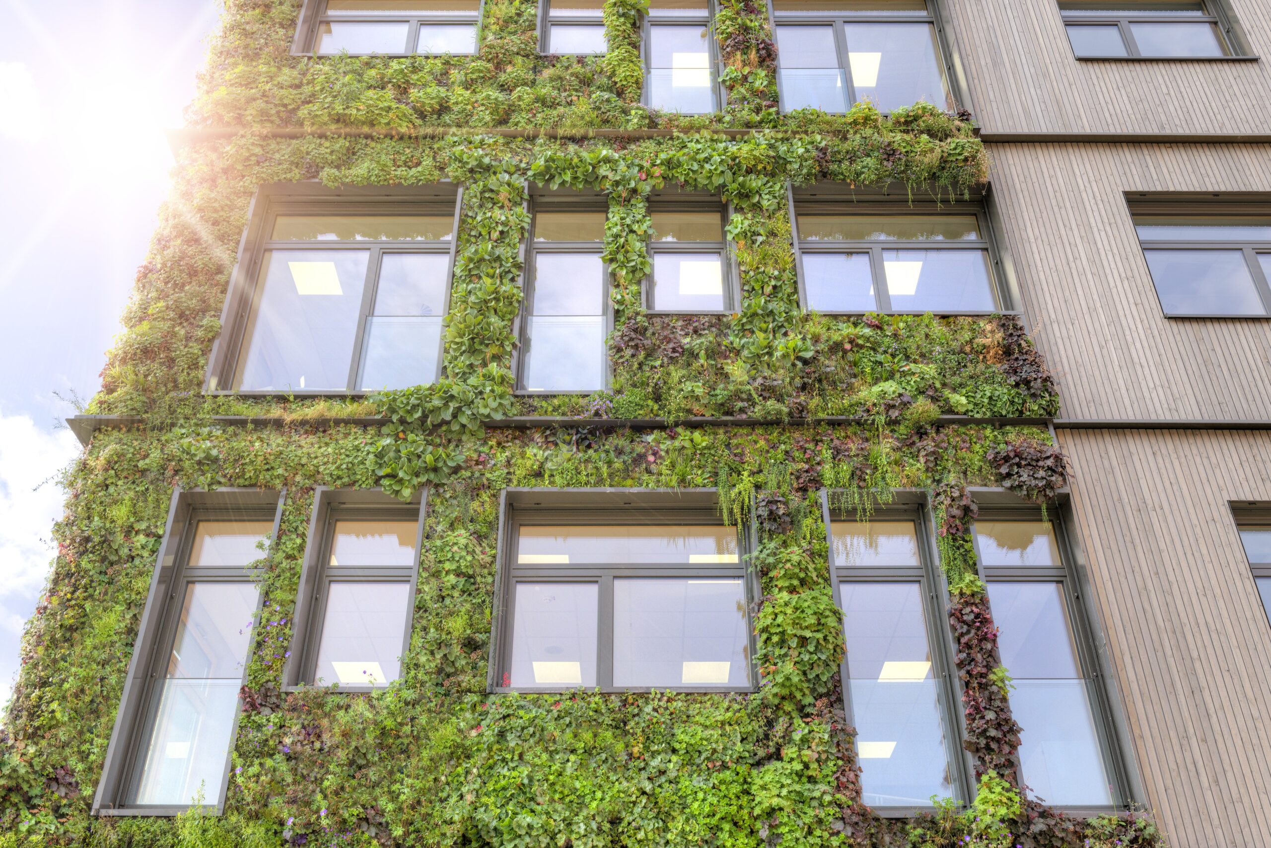 Begrünte Hausfassade