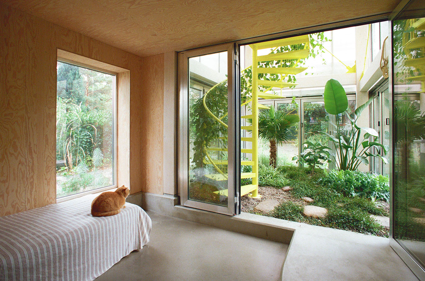 Wintergartenhaus der Supertype Group mit gelber Wendesltreppe und Holzwänden